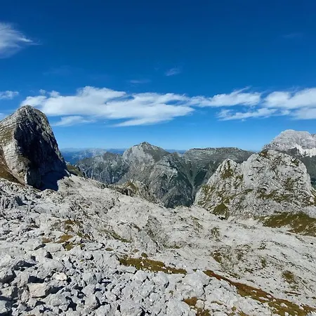 Apartman Palazzo Piccolo