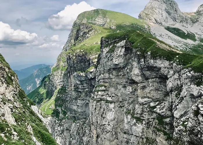 Apartman Palazzo Piccolo *